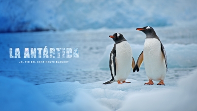 La Antártida