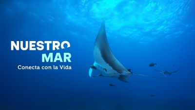 Nuestro mar