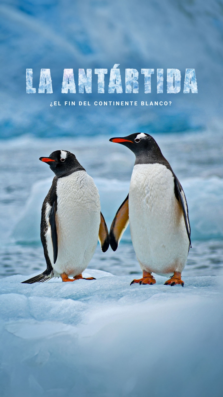 La Antártida