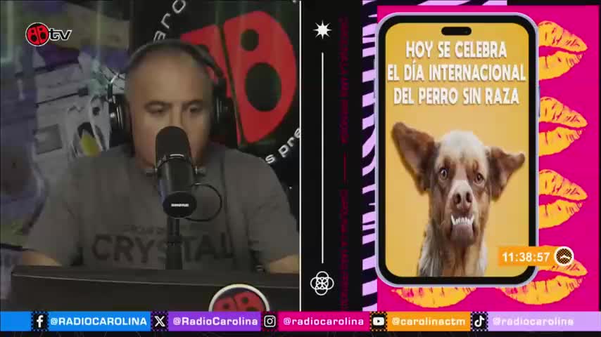 Sacando la Vuelta | Cuestionario del perro ¿Cómo te fue?