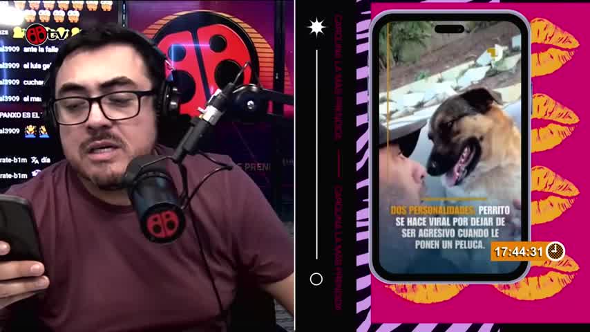 Pegao en el Taco – ¿Cuántas personalidades tienes?