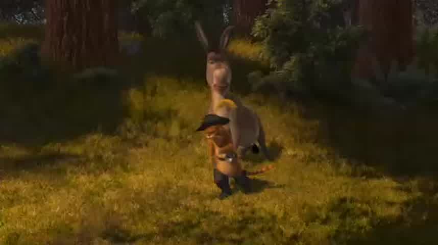 O BURRO JÁ FOI UM HUMANO?? - Teoria Shrek 